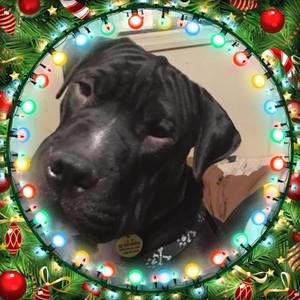 Meet your Posher, Jackie